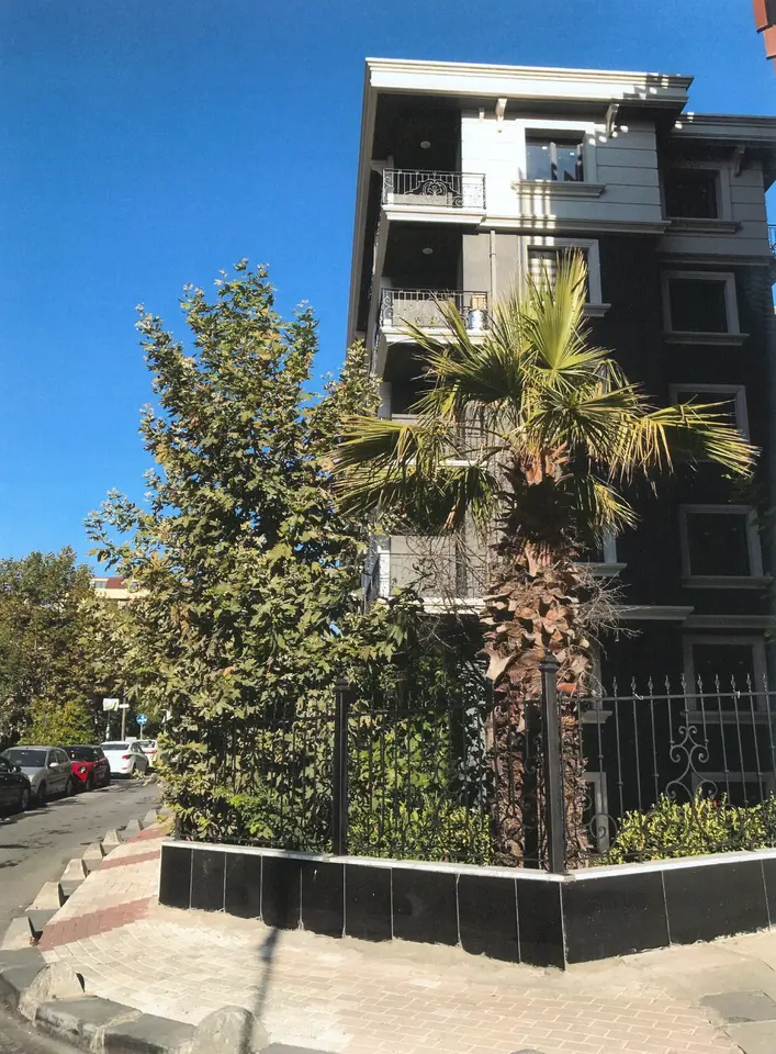 Palmiye ve ağaçlarla çevrili köşe cephe